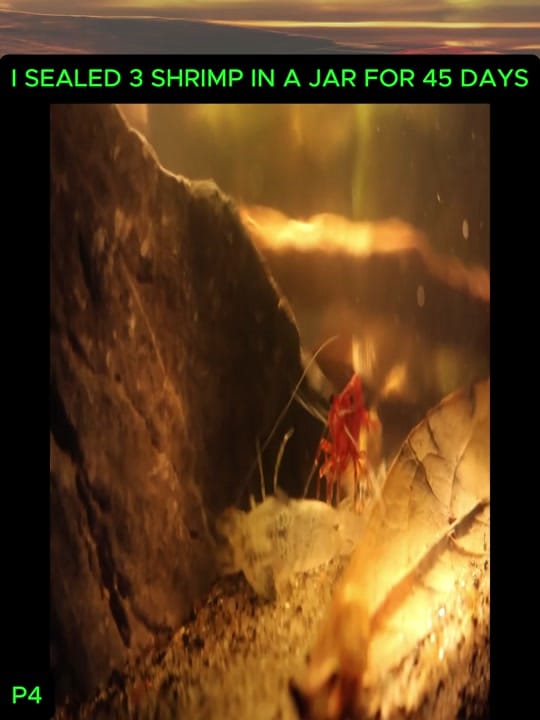 Post 1 by oldschool on TikTok (video)