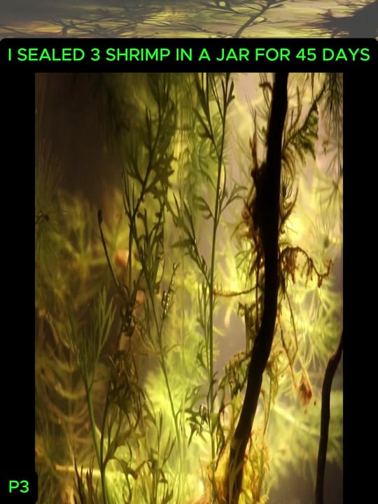 Post 2 by oldschool on TikTok (video)