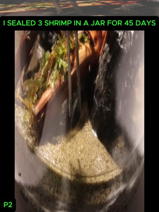 Post 3 by oldschool on TikTok (video)