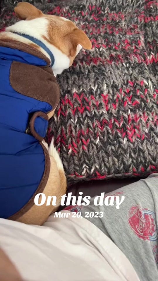 Post 6 by Jeramy on TikTok (video)