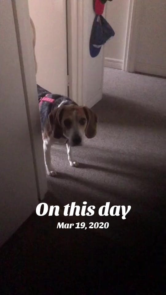 Post 7 by Jeramy on TikTok (video)