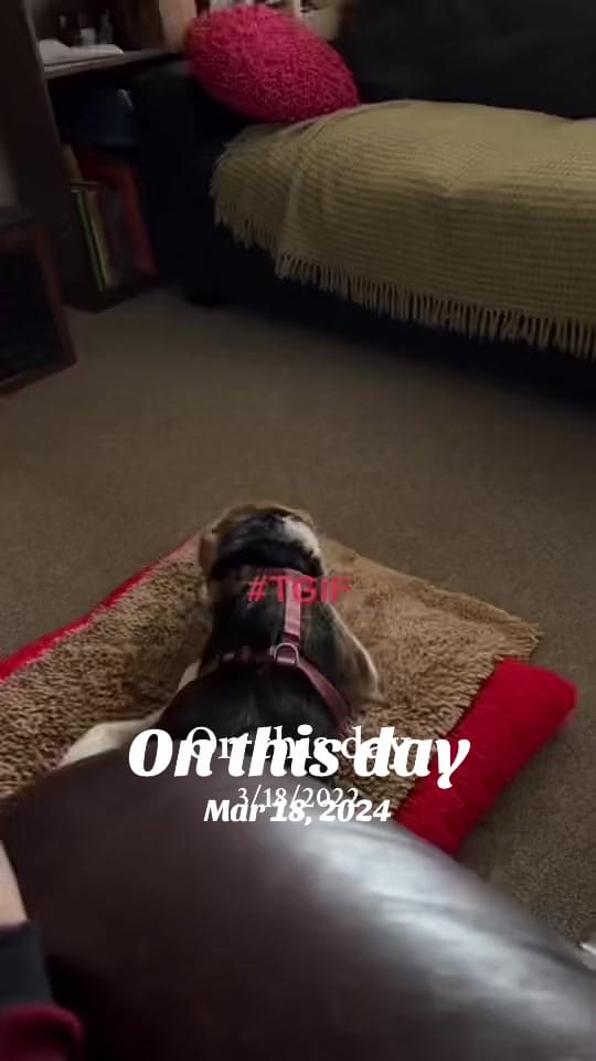 Post 8 by Jeramy on TikTok (video)