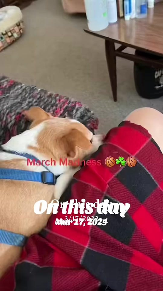 Post 9 by Jeramy on TikTok (video)