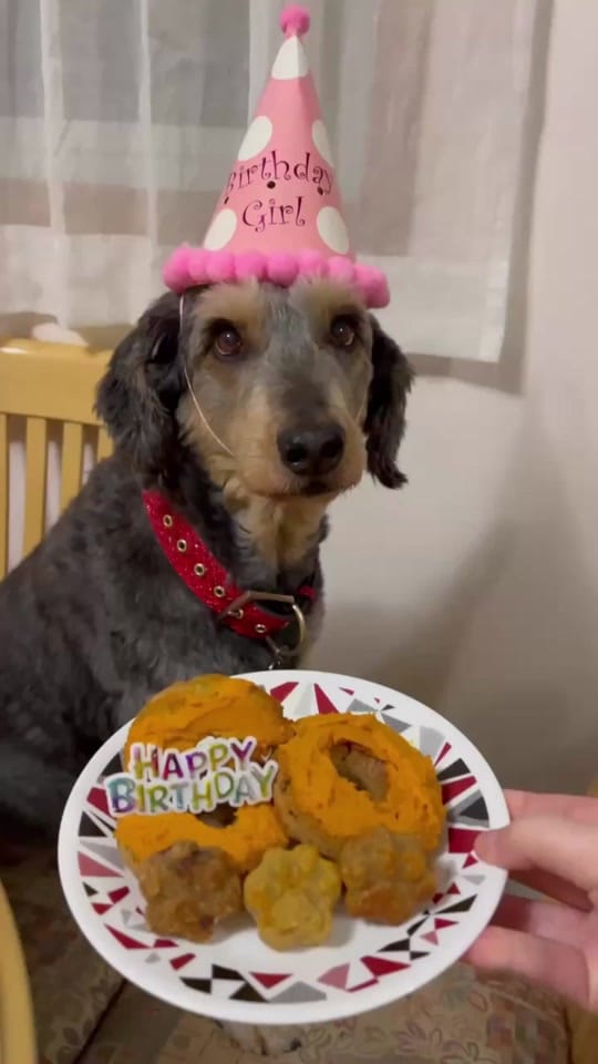Post 5 by dovecottagebattleangel 🇨🇦 on TikTok (video)