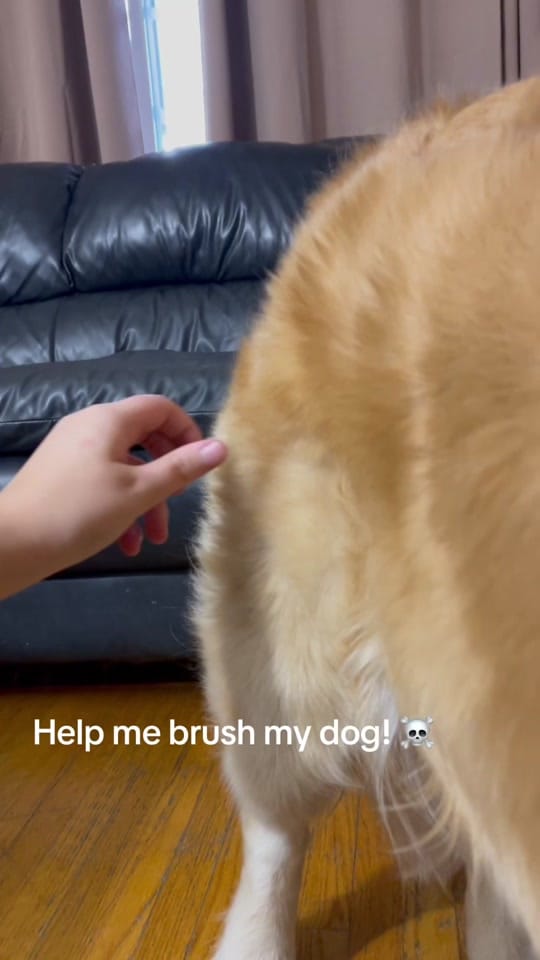 Post 8 by dovecottagebattleangel 🇨🇦 on TikTok (video)