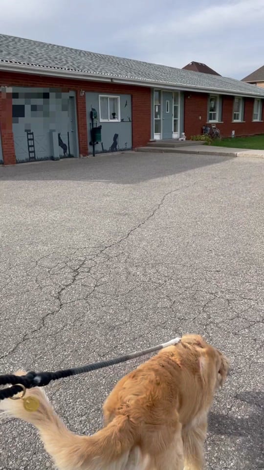 Post 6 by dovecottagebattleangel 🇨🇦 on TikTok (video)