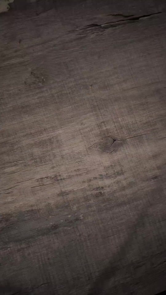 Post 9 by Christina Ottavio Laval 🇨🇦 on TikTok (video)
