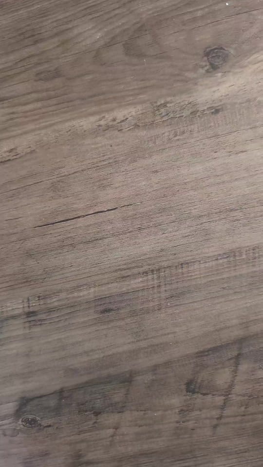 Post 7 by Christina Ottavio Laval 🇨🇦 on TikTok (video)