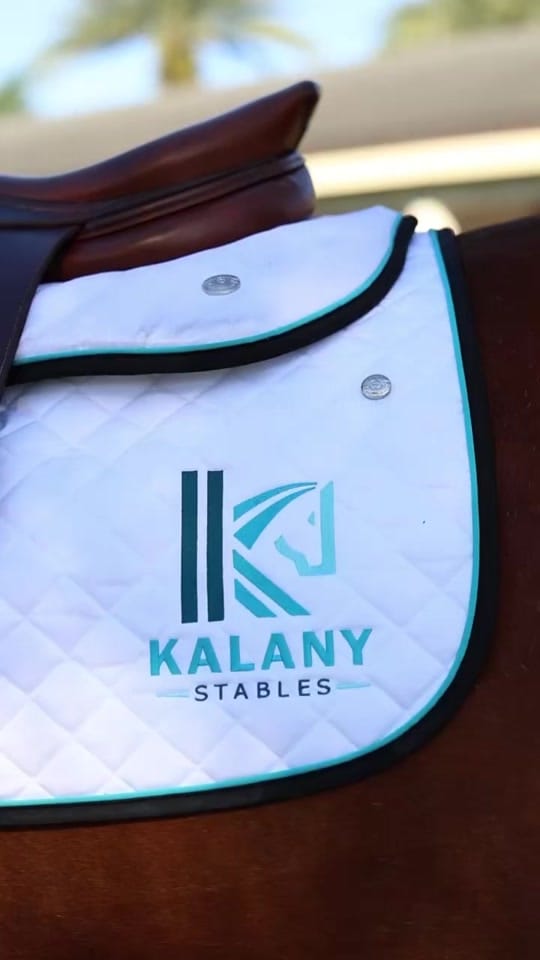 Post 8 by Ogilvy Equestrian on TikTok (video)