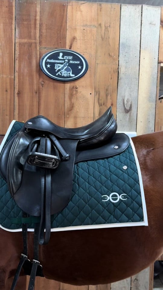 Post 10 by Ogilvy Equestrian on TikTok (video)