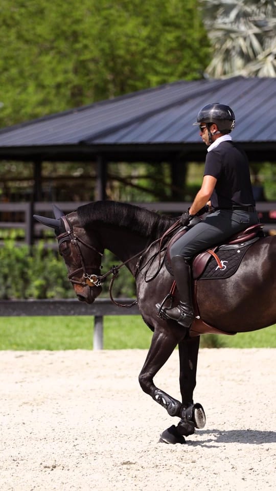 Post 1 by Ogilvy Equestrian on TikTok (video)