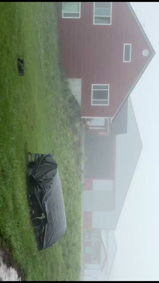 Post 2 by Alyson Rapp on TikTok (video)