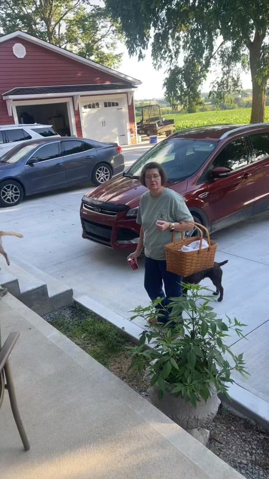Post 6 by Alyson Rapp on TikTok (video)