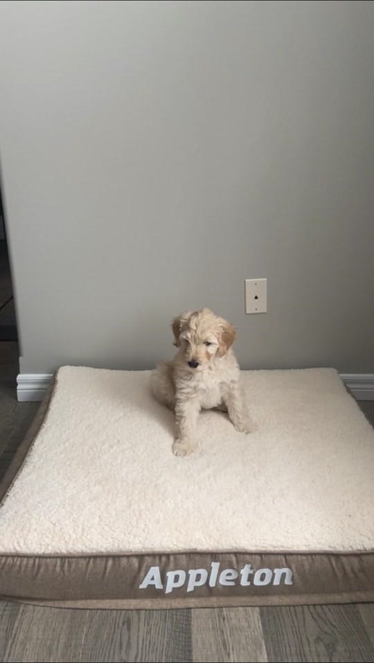 Post 6 by Mikaela Sebel on TikTok (video)