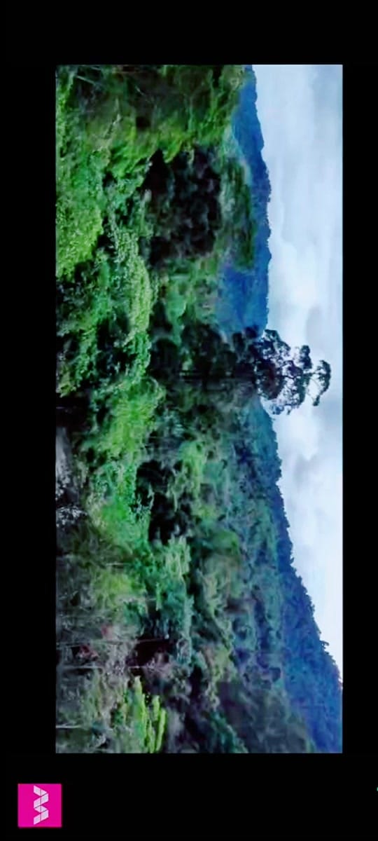 Post 8 by 🍇TrAcH€🍇திராட்சை🍇 on TikTok (video)