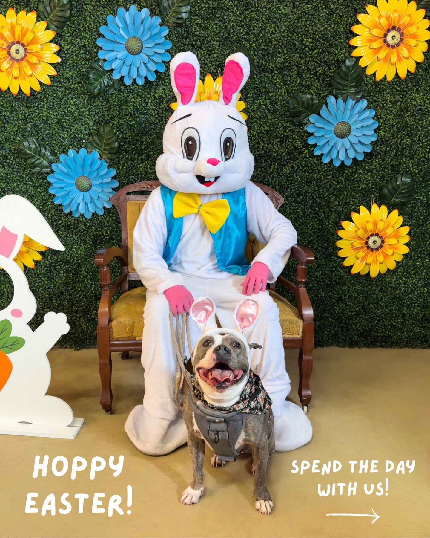 Post 4 by Joy | Dog Friendly Travel on TikTok (video)