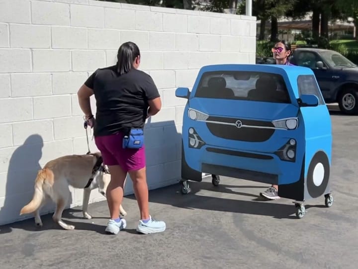Post 7 by Guide Dogs of America on TikTok (video)