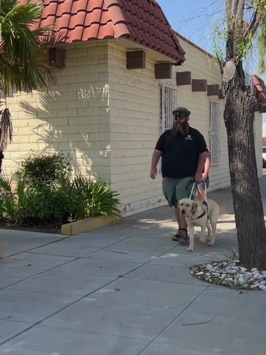 Post 6 by Guide Dogs of America on TikTok (video)