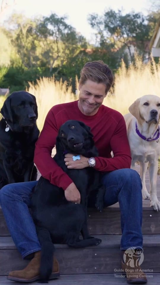 Post 1 by Guide Dogs of America on TikTok (video)