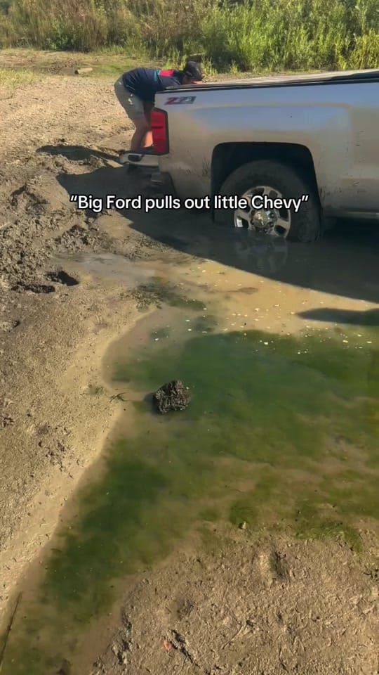 Post 3 by ColeNewton on TikTok (video)
