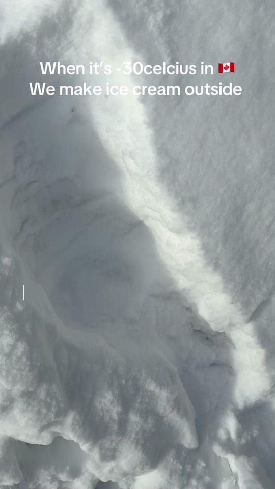 Post 9 by Elizabeth Geroux 🇨🇦 on TikTok (video)