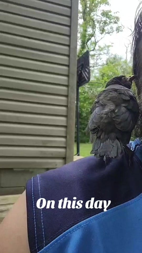 Post 4 by Indiana Backroads76 on TikTok (video)