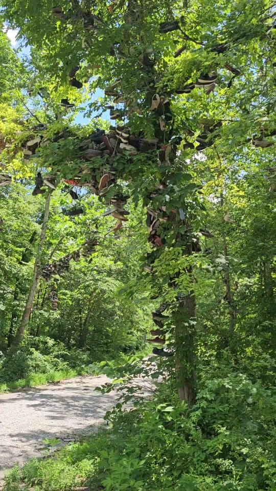 Post 7 by Indiana Backroads76 on TikTok (video)