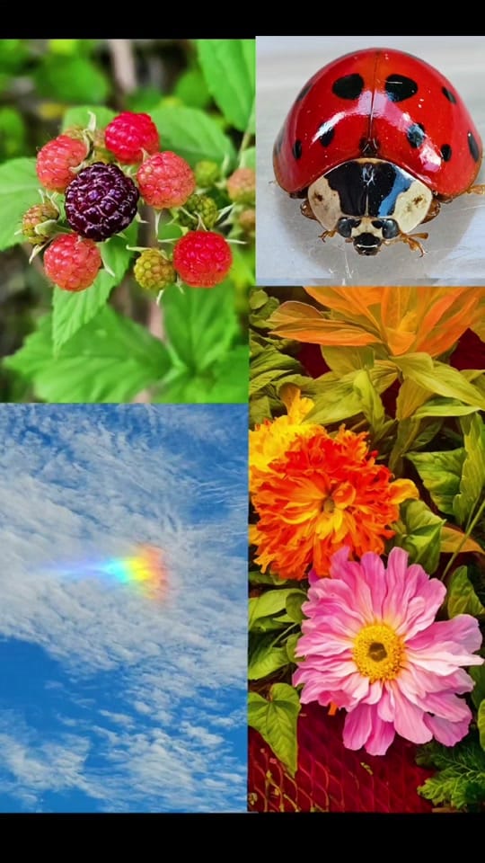 Post 10 by Indiana Backroads76 on TikTok (video)