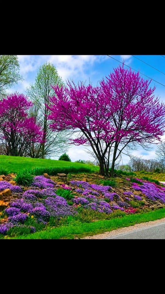 Post 6 by Indiana Backroads76 on TikTok (video)