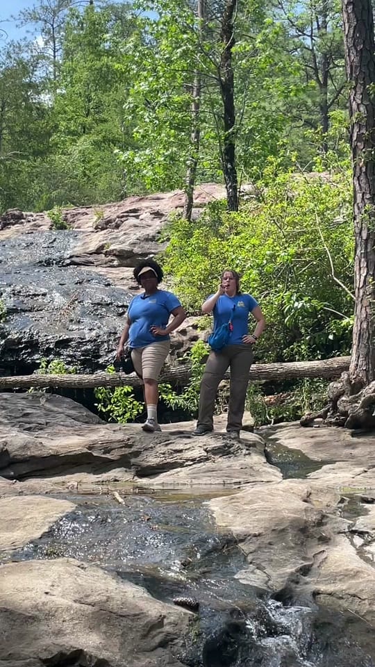 Post 5 by McWane Science Center on TikTok (video)