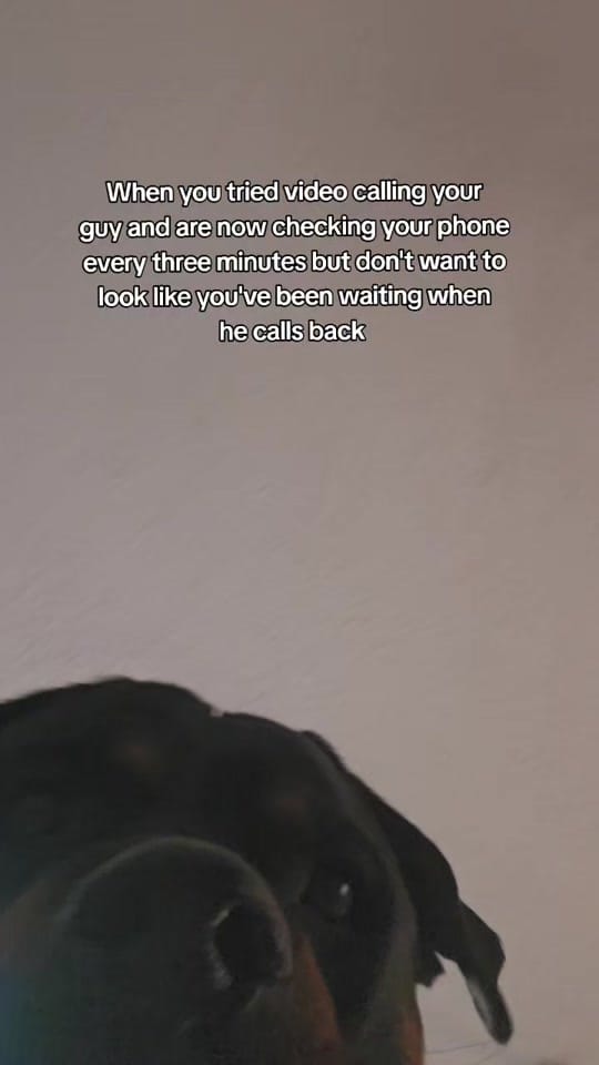 Post 7 by servicerotties 🇨🇦 on TikTok (video)