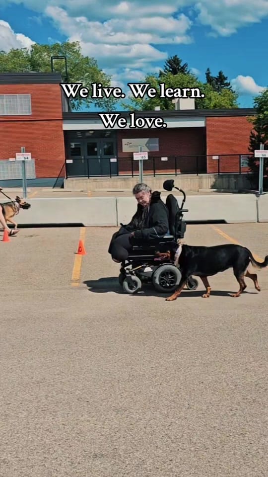 Post 4 by servicerotties 🇨🇦 on TikTok (video)