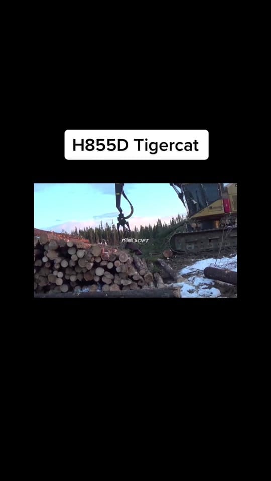 Post 3 by CanadianForestryIG on TikTok (video)