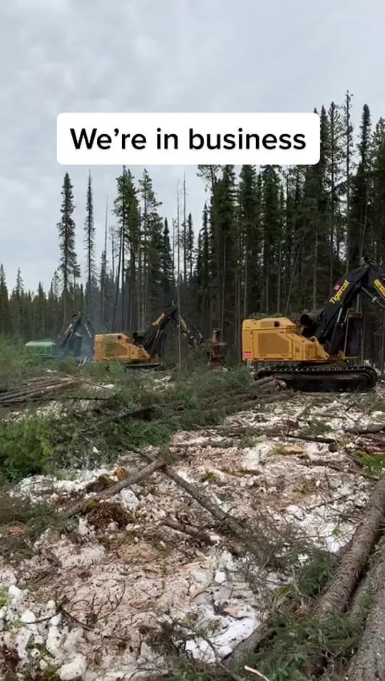 Post 1 by CanadianForestryIG on TikTok (video)
