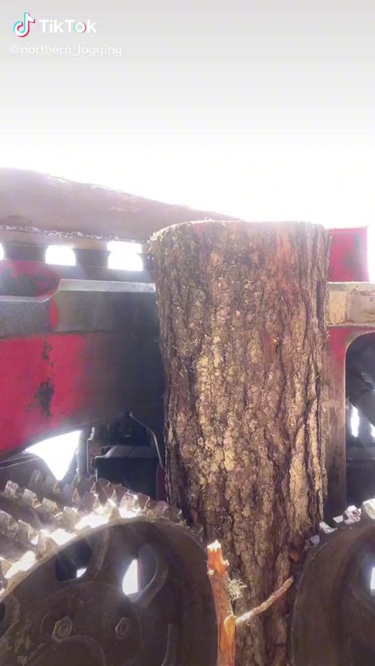 Post 9 by CanadianForestryIG on TikTok (video)