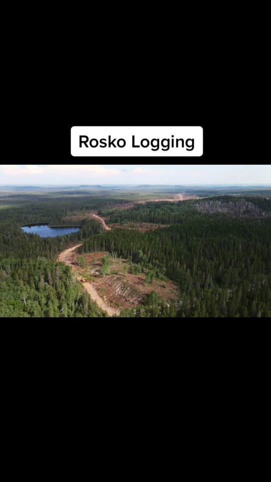 Post 6 by CanadianForestryIG on TikTok (video)