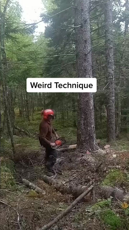Post 5 by CanadianForestryIG on TikTok (video)
