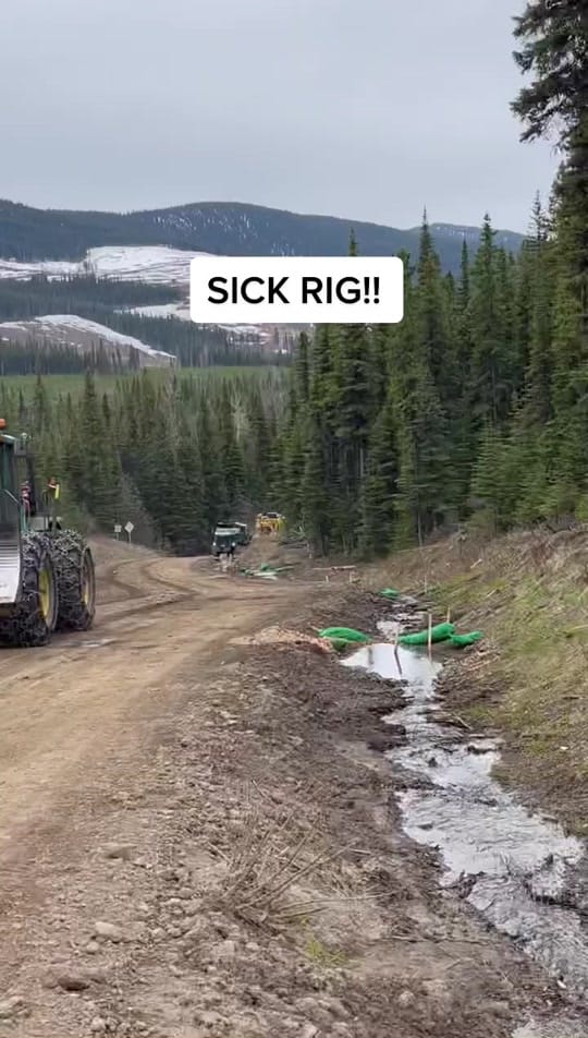 Post 4 by CanadianForestryIG on TikTok (video)