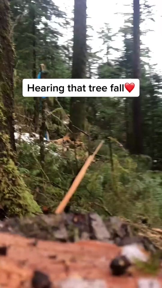 Post 10 by CanadianForestryIG on TikTok (video)