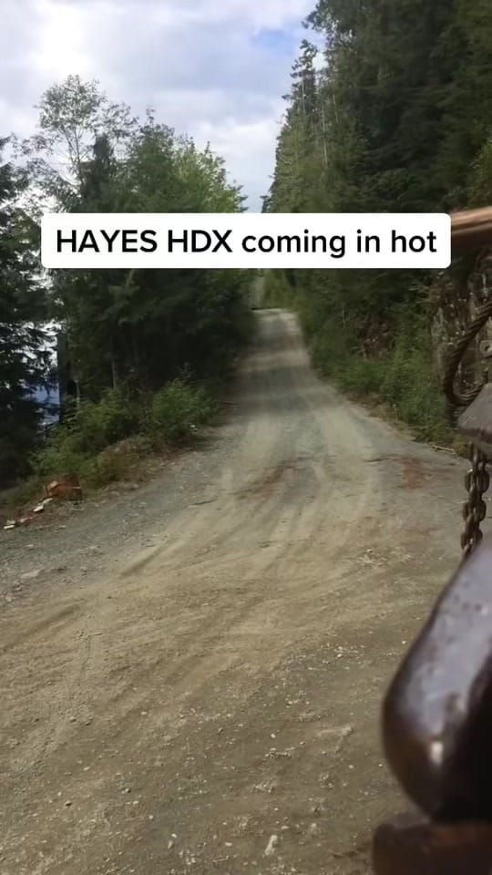 Post 7 by CanadianForestryIG on TikTok (video)