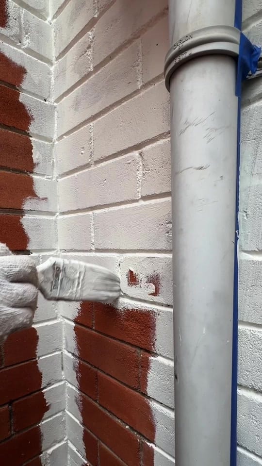 Post 5 by Kyle Limeback on TikTok (video)