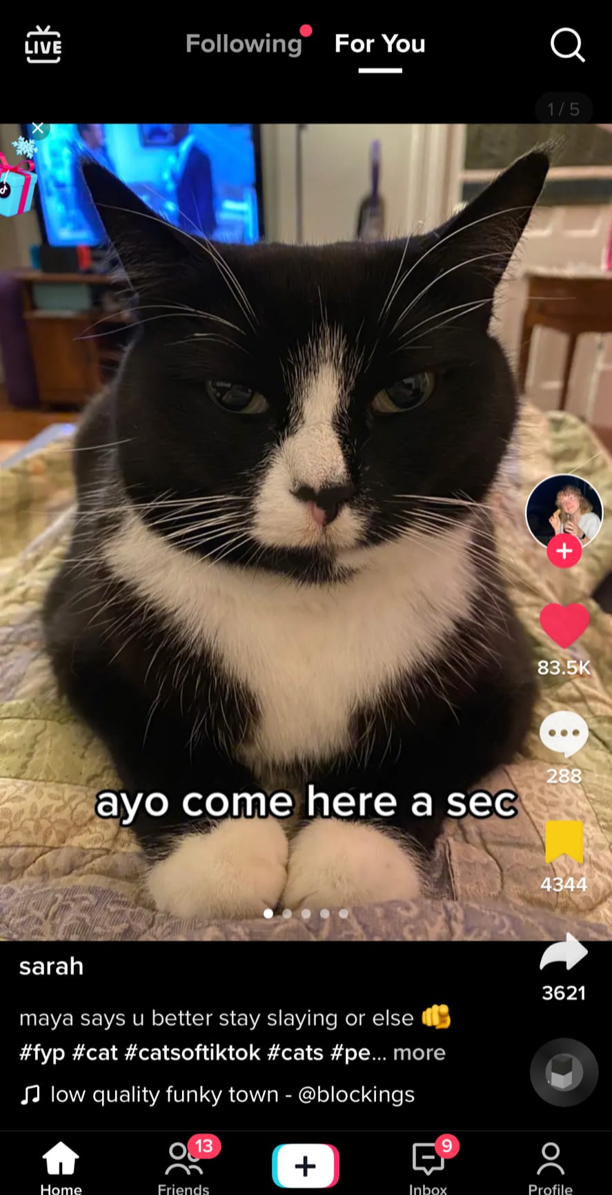 Post 4 by Goldengolfcart on TikTok (video)