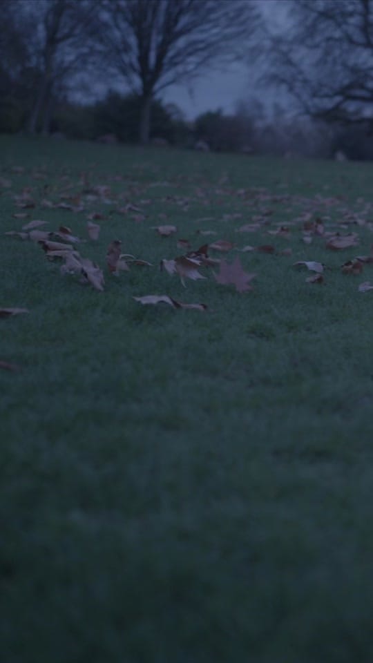 Post 9 by Biffy Clyro on TikTok (video)