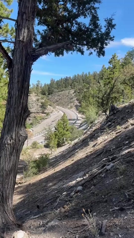 Post 7 by MillyU24 on TikTok (video)