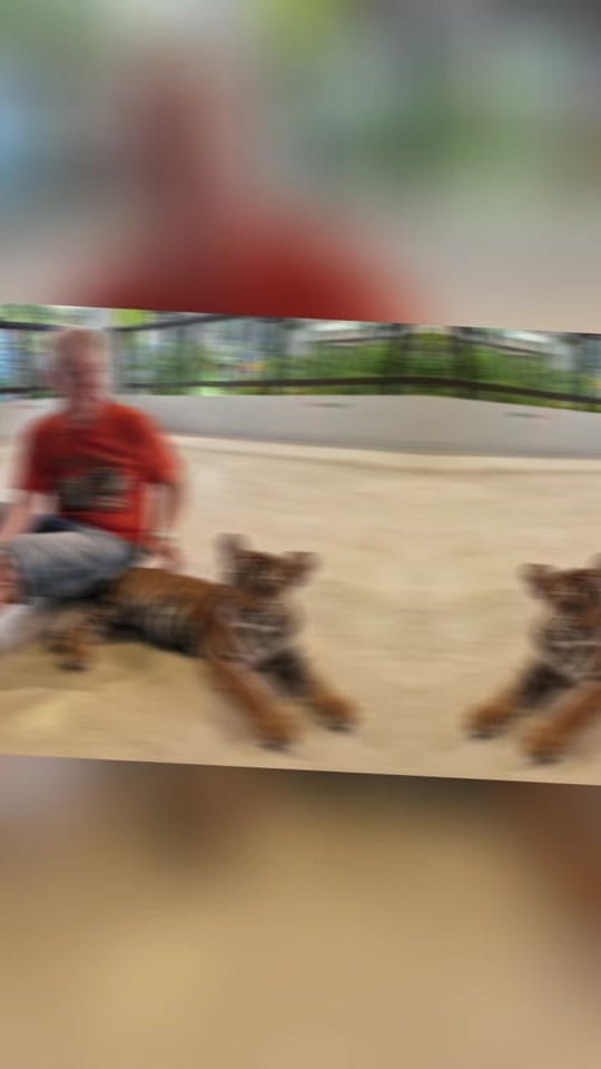 Post 7 by John on TikTok (video)
