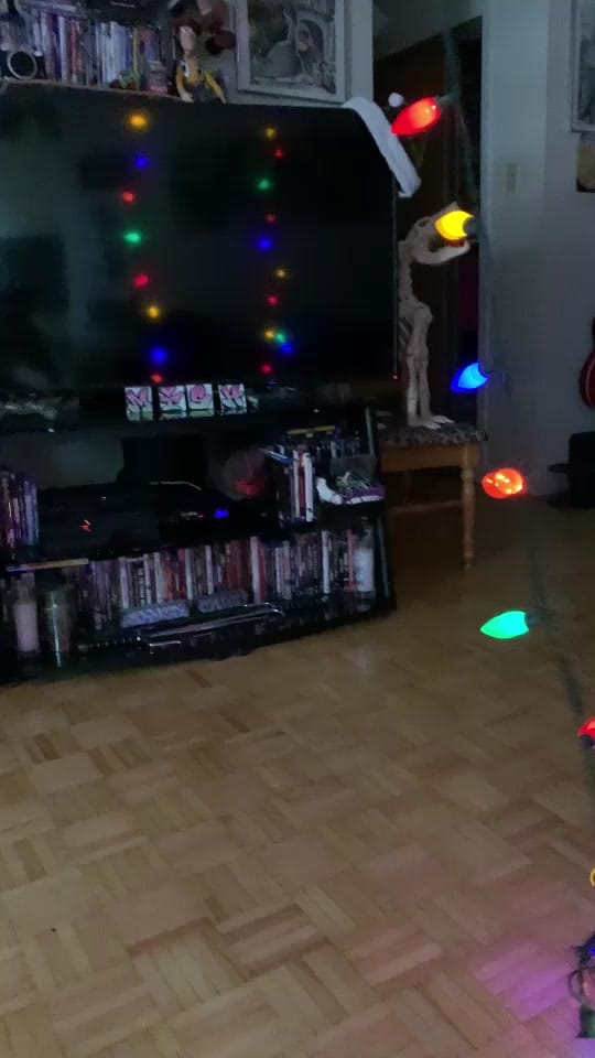 Post 2 by lost.lens on TikTok (video)