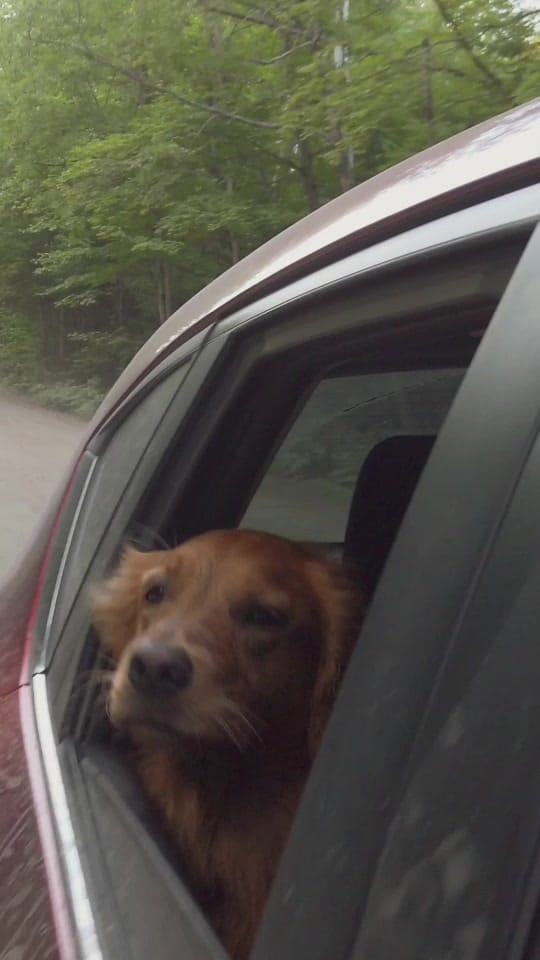 Post 4 by lost.lens on TikTok (video)
