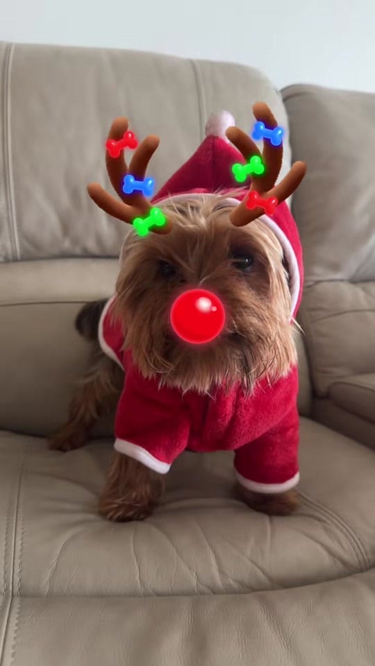 Post 8 by gabymateu on TikTok (video)