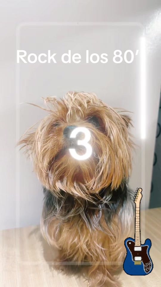 Post 9 by gabymateu on TikTok (video)