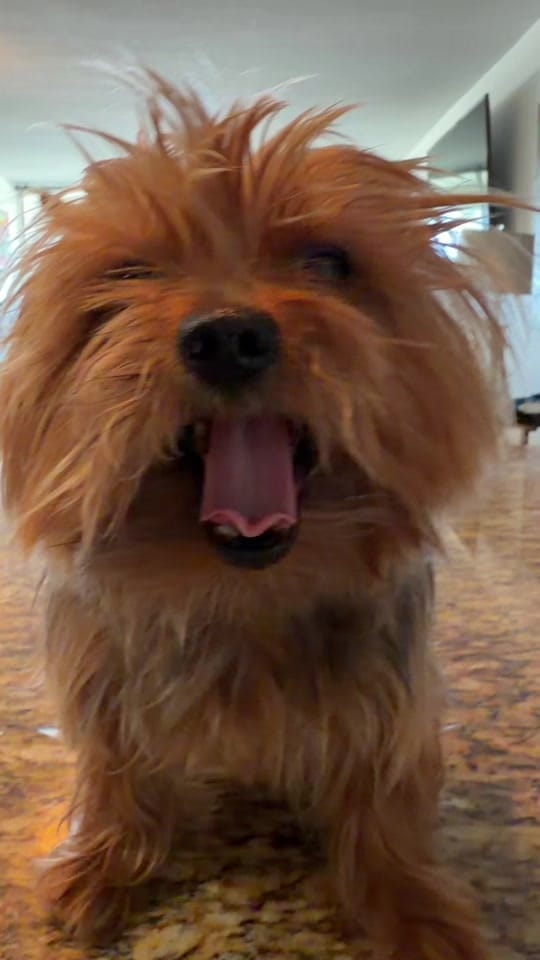 Post 3 by gabymateu on TikTok (video)